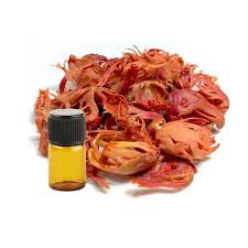 mace-oil Essential Oil